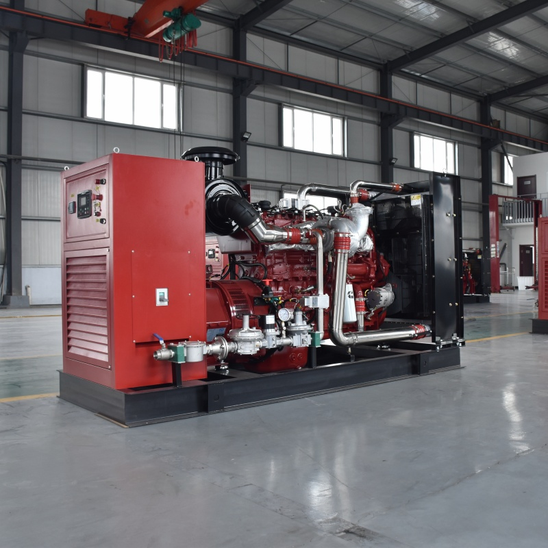--250kw Planta de Energía de Biogás Natural Biomasa/LPG/CNG/Propano Metano Hidrógeno Doble Combustible Generador de Aguas Residuales Coke Syngas Generador de Gas de Madera Conjunto Generador de Syngas Precio de Fábrica