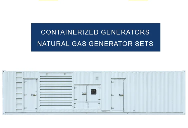 1600kw Generador de Biogás Natural Biomasa/LPG/Propano Silencioso de Alta Potencia Contenedor de Doble Combustible Aguas Residuales Coke Syngas Gas de Madera Fabricante para Escuela, Edificio de Oficinas