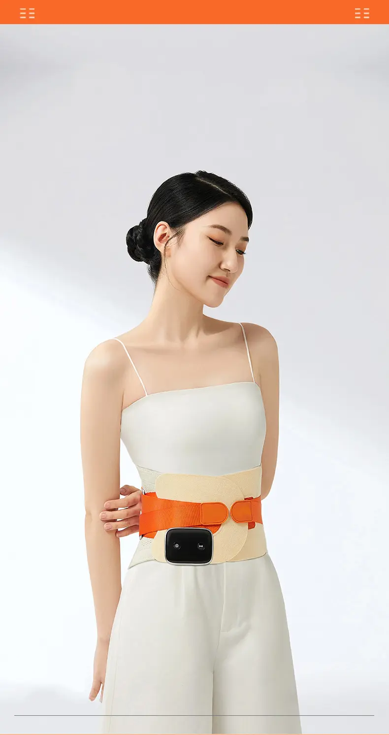 Professional Waist Support Belt