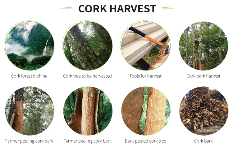 Cork Advantages Diagram