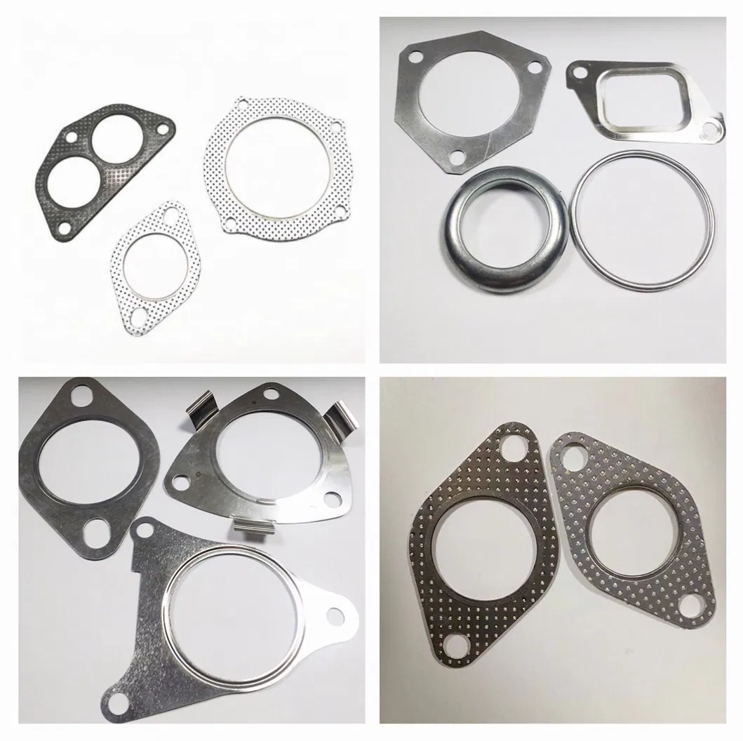Related Gasket 2