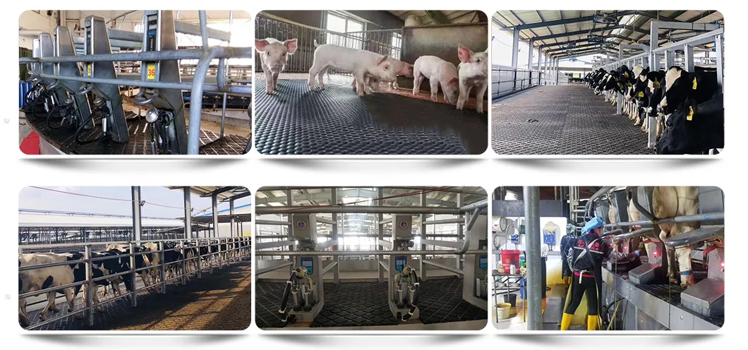 Application Scenarios