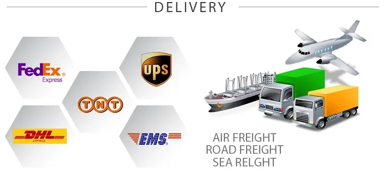Shipping Logistics