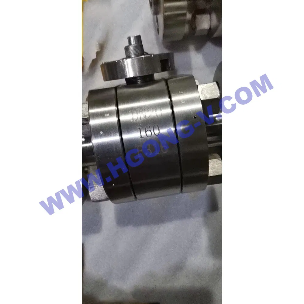 Trunnion Mounted Ball Valve Detail 3