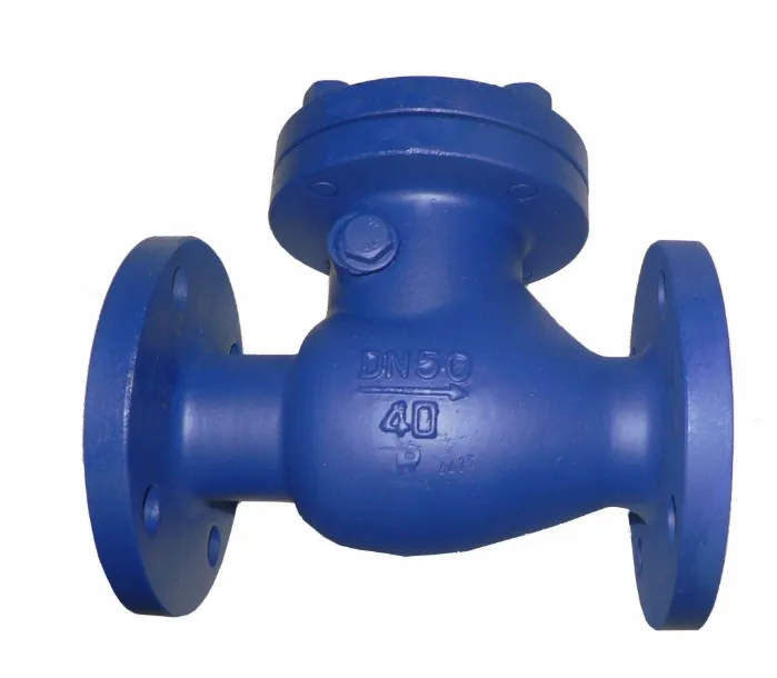 Check Valve Specification 2