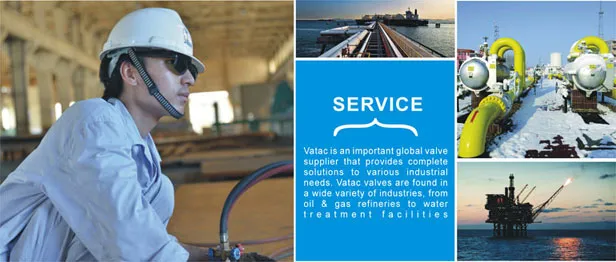 Trunnion Mounted Ball Valve 6