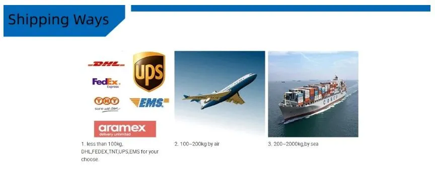 Shipping Logistics