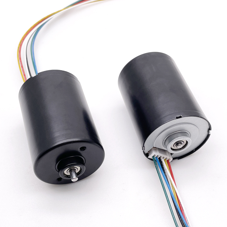 12 Volt Micro Brushless Dc Motor BL3650 24 Volt High Power High Speed BLDC Motor