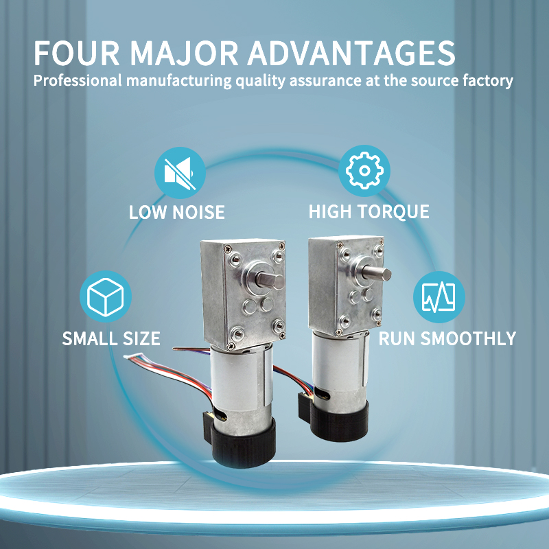 12 Volt High Torque Motor 5840 Worm Gear Reducer With 555 Dc Carton Brush Motor