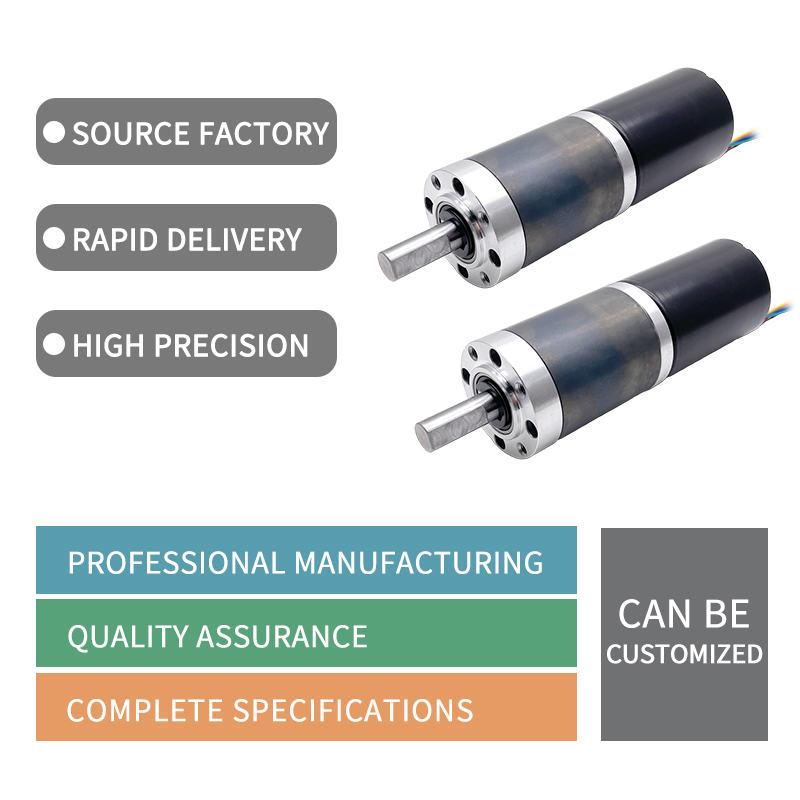 42mm High Torque Long Lifespan Gear Motor Dc 12v 24v Low Rpm Brushless Dc Motor