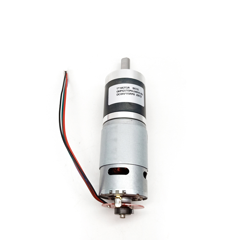 TT Motor Low Rpm High Torque Geared Hub Motor 12v/24v 100W Reducer Gear Motor With Encoder