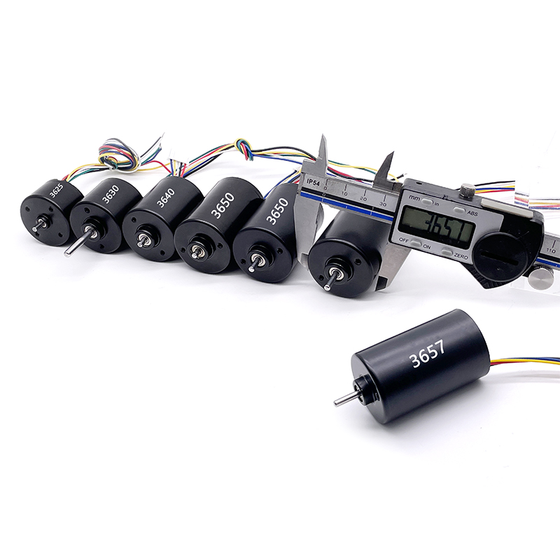 12 Volt Micro Brushless Dc Motor BL3650 24 Volt High Power High Speed BLDC Motor