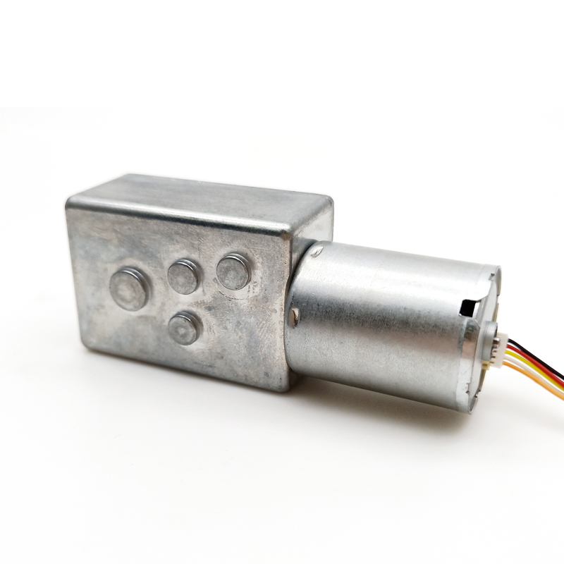Vertical Gear Reducer Motor 12V 24V Low Speed Dc Worm Geared Brushless Motor