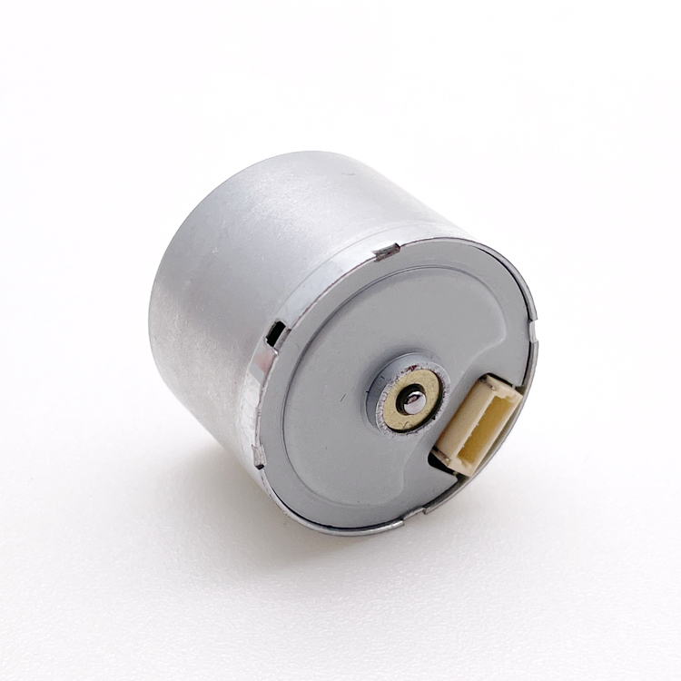 6v 12v 24v Vibration Motor 10000rpm Long Life Ball Bearing Brushless Dc Motor for Sale