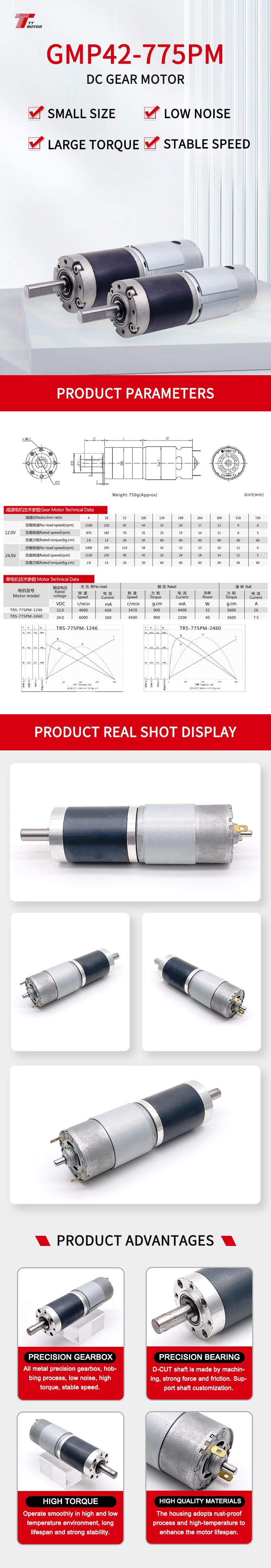 Motor Model Detail