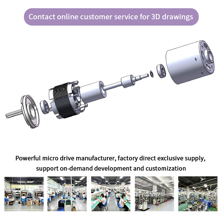 Dc Brushless Motor 12v 24v Electric Bldc Motor