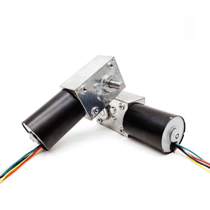 Dc Motor 12v 24v High Torque  Geared Brushless Motor Worm Gearbox Motor