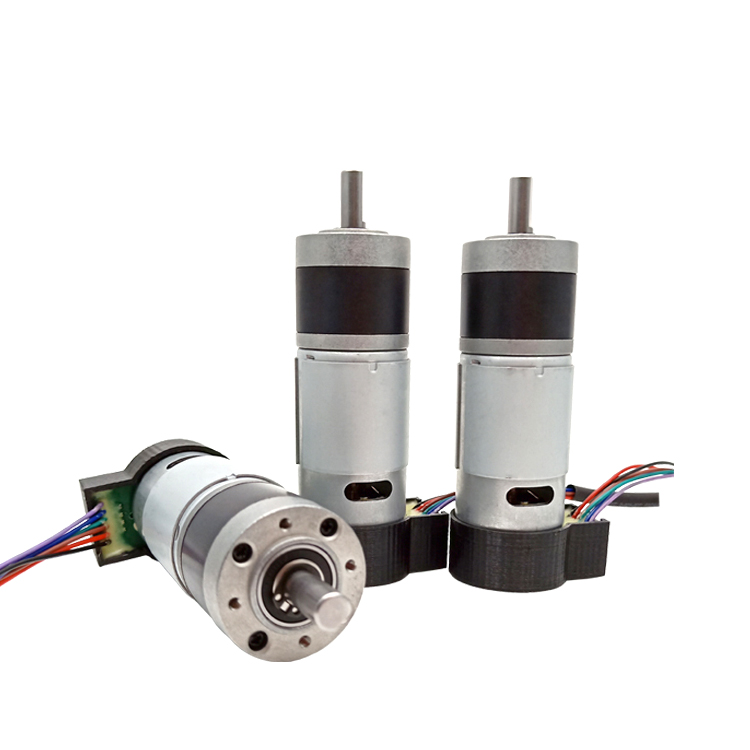 GMP36-555PM-EN 12 Volt 24 Volt Electric Dc Geared Motor With Encoder
