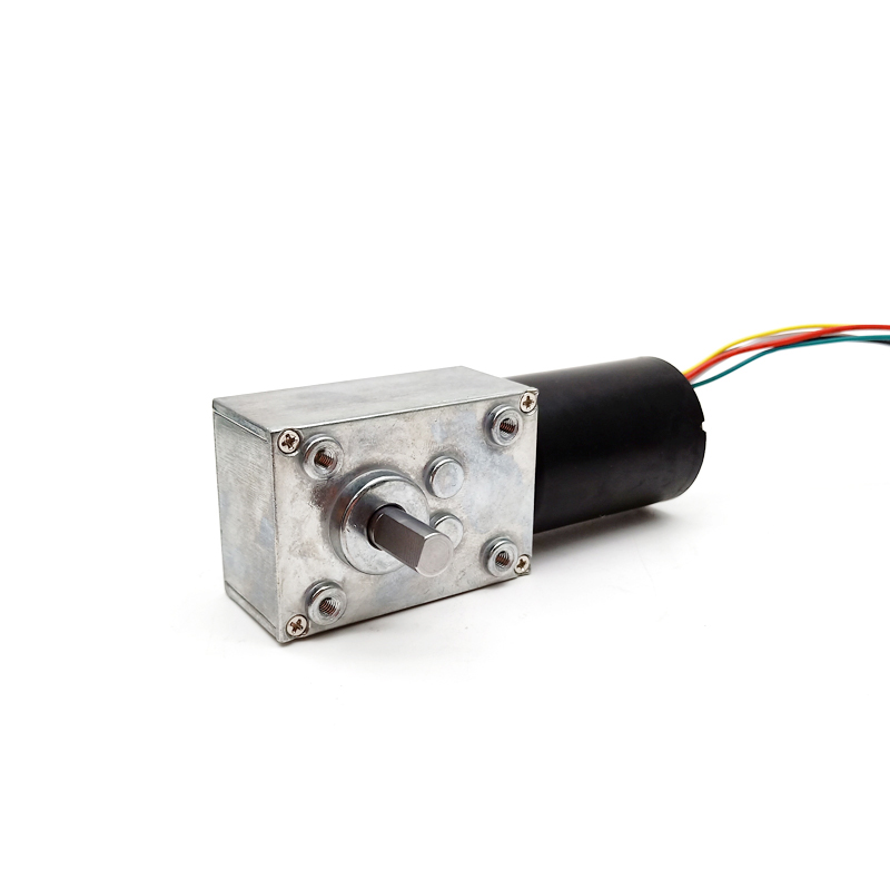 5840 Worm Gearbox With Bldc 3650 3640 Brushless Motor Low Rpm High Torque 12v 80rpm Geared Motor