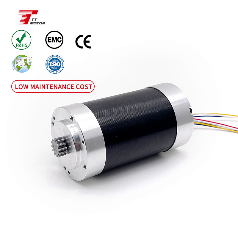 TT MOTOR Iso9001 50w 12v 24v Mini BLDC Brushless Electric Bicycle DC Motor