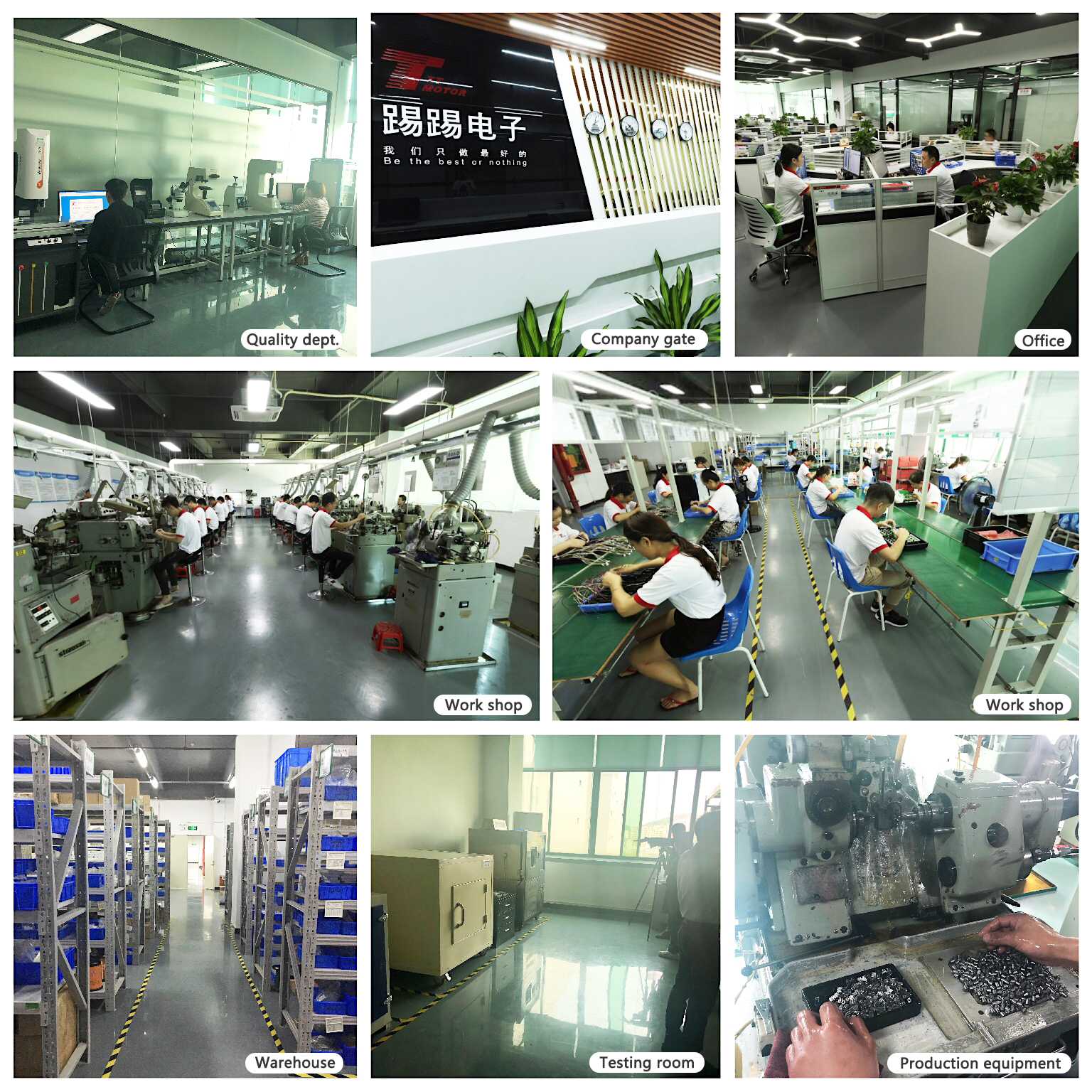 Production Process