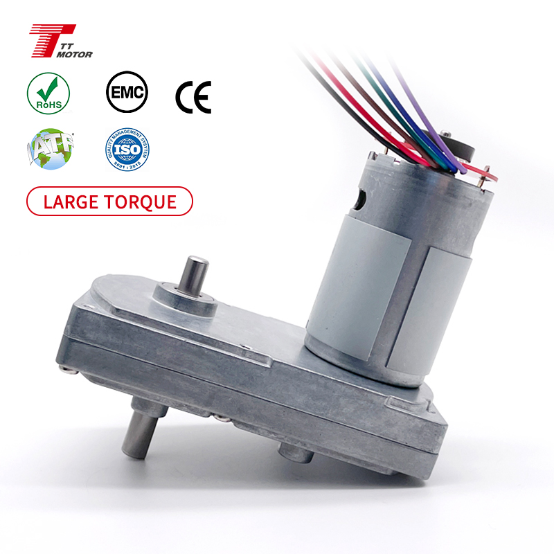 TT Motor 12v 24v High Torque Permanent Magnet Micro Small Dc Worm Gear Motor with Encoder