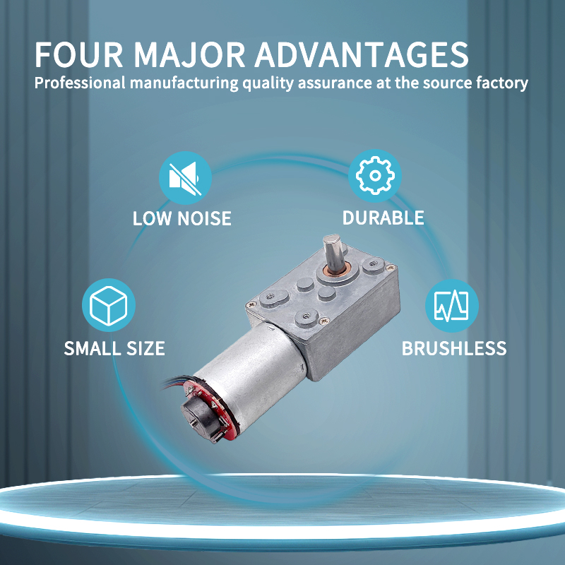 High Torque 12v 24v Volt Dc Worm Gear Motor Micro Electric Brushed Dc Motor