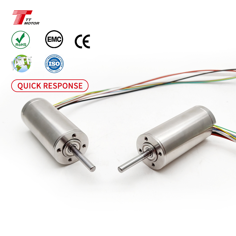 Coreless Motor 3067 Brushless Dc Motor Mini High Power Motor 12v 24v for Medical Apparatus