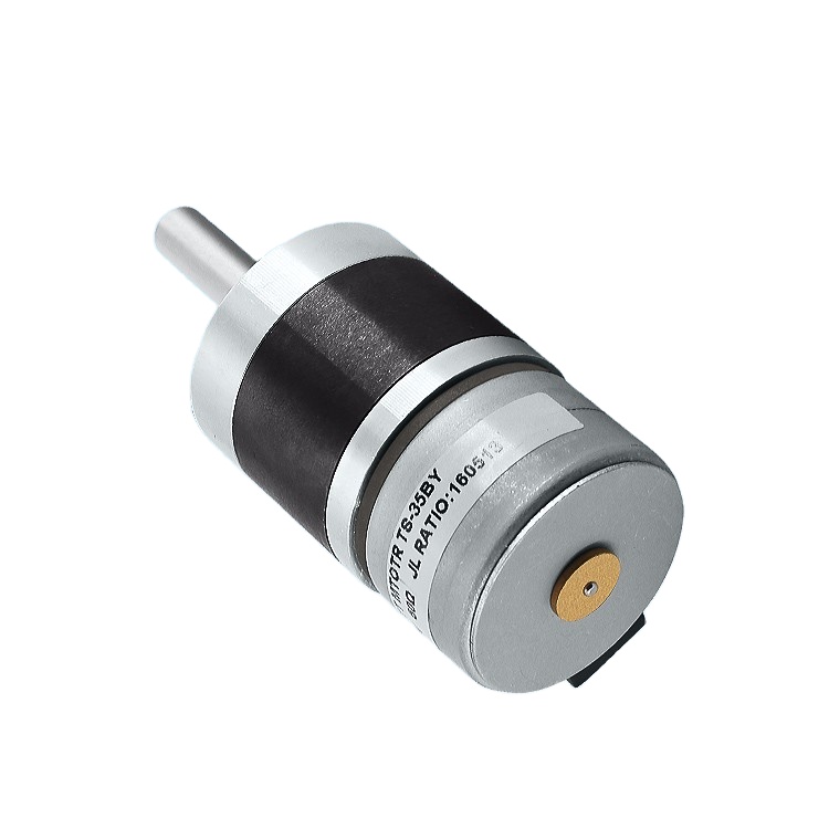 TT Motor Supplier High Quality High Precision Low Speed High Torque 35BY Stepper Gear Motor Stepping Motor Dc 12v