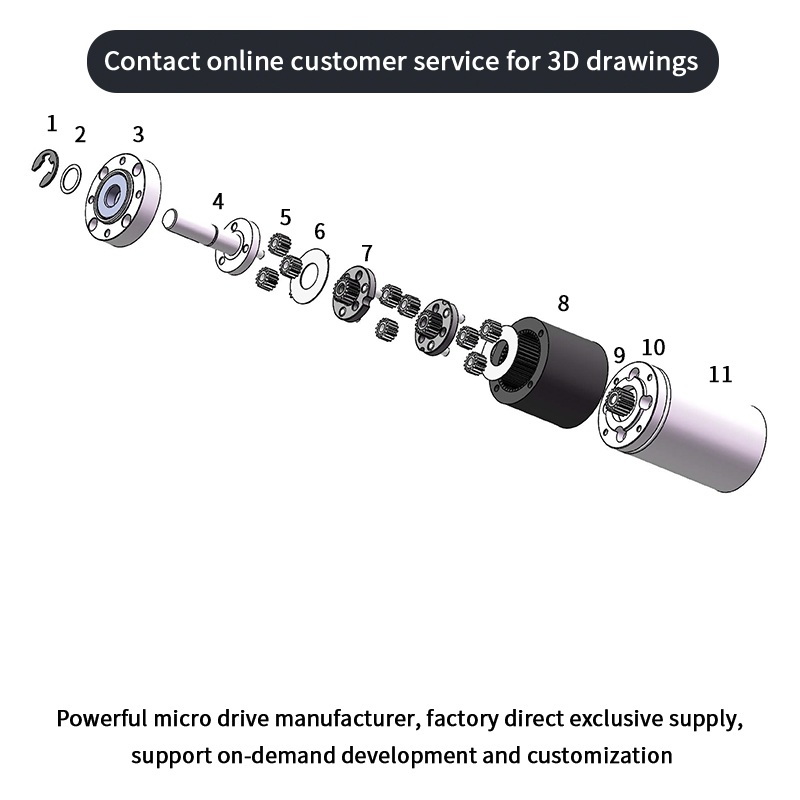 China Supplier TT 6v 12v 24v Worm Planetary Bldc Brushless Brushed Electric Dc Gear Motor With Optional Encoder