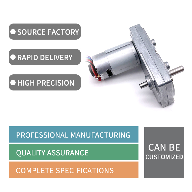GM100F-555PM High Torque Low Rpm Electric 12v Dc Gear Motor