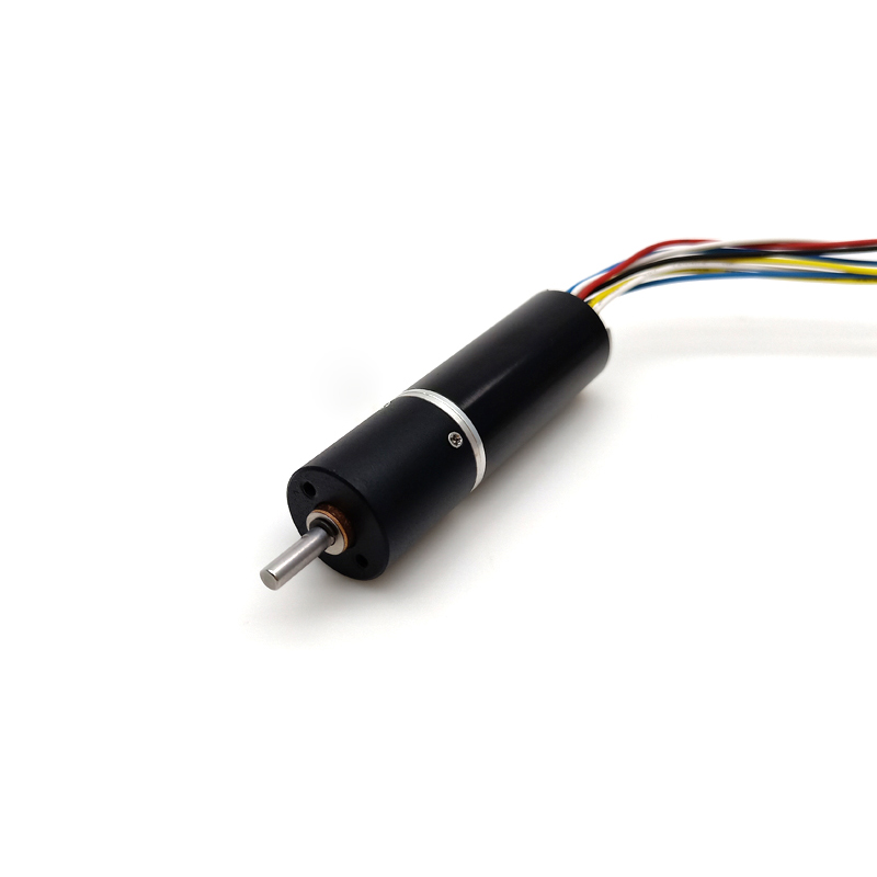 High Precision High Quality 16mm Coreless Permanent Magnet 3000rpm Dc Bldc Motor