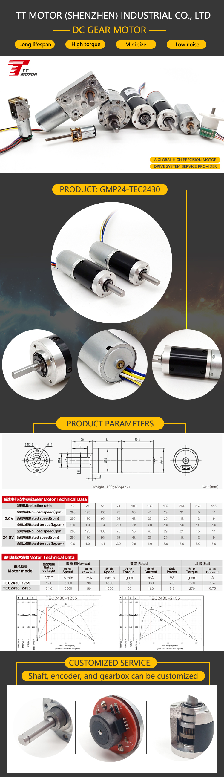 GMP24-TEC2430 Geared Motor