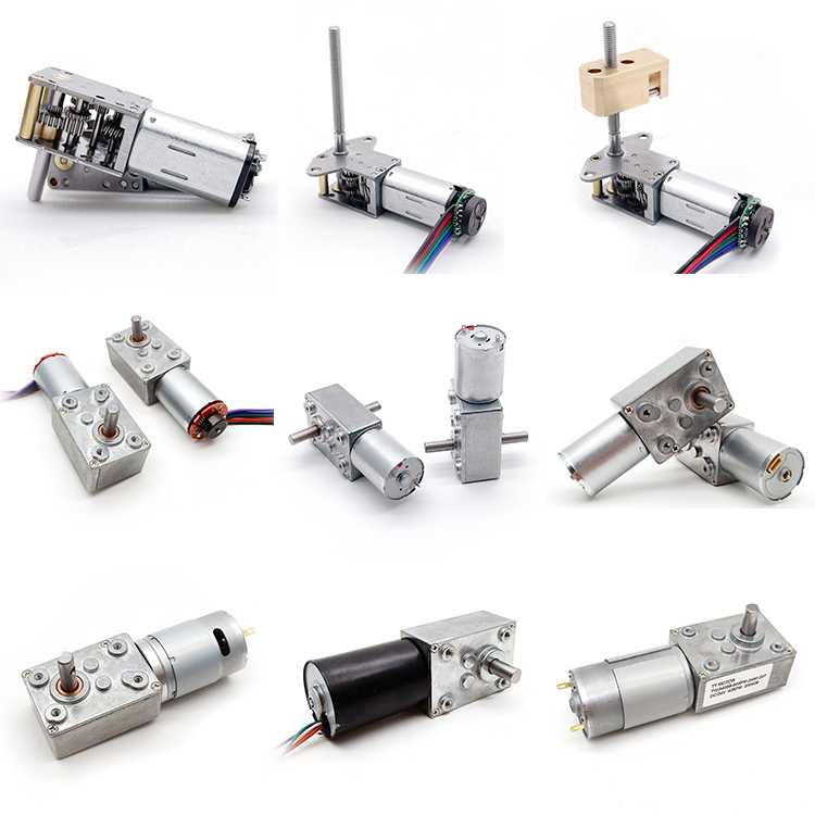 Micro DC Worm Gear Motor