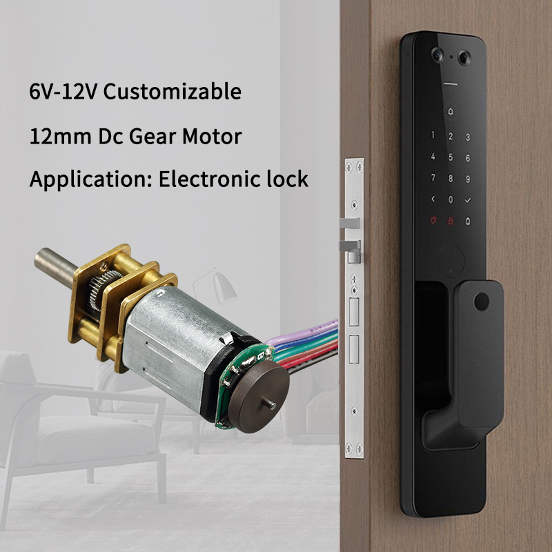 TT Motor GM12-N20VA-EN DC 6V Metal Brush Gear Motor with Hall Encoder 12V Electric Permanent Magnet Geared Motor