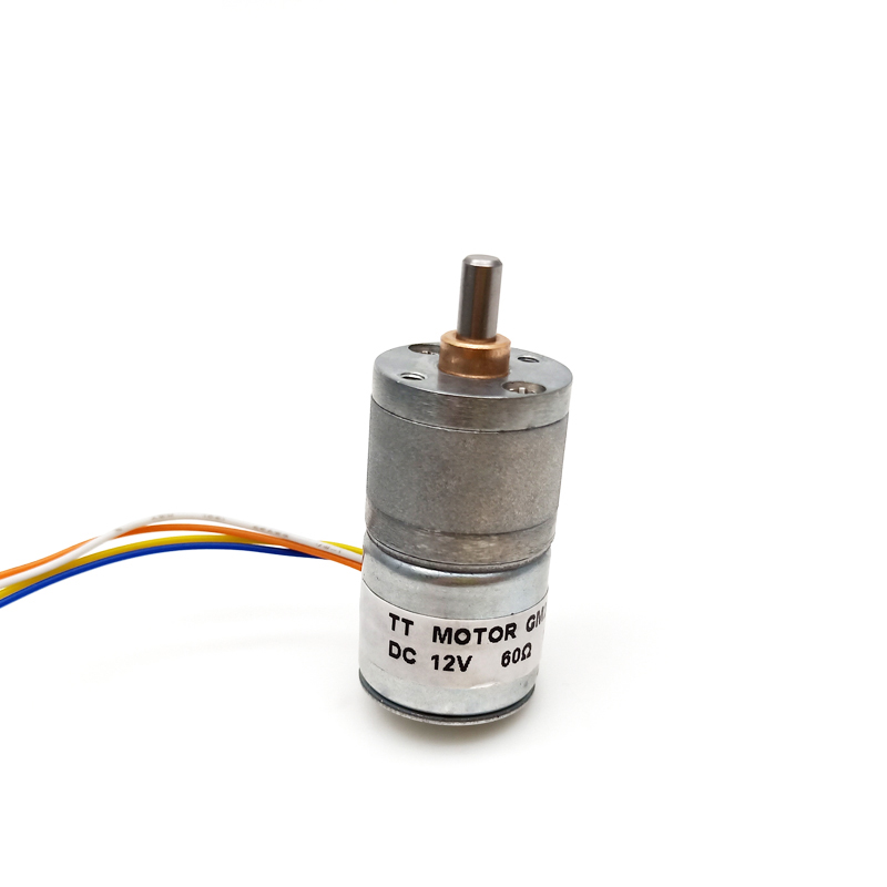TT Manufacturer 20mm Long Life Stepping Dc Motor 2 Phase 18 Degrees 12V Stepper Gear Motor
