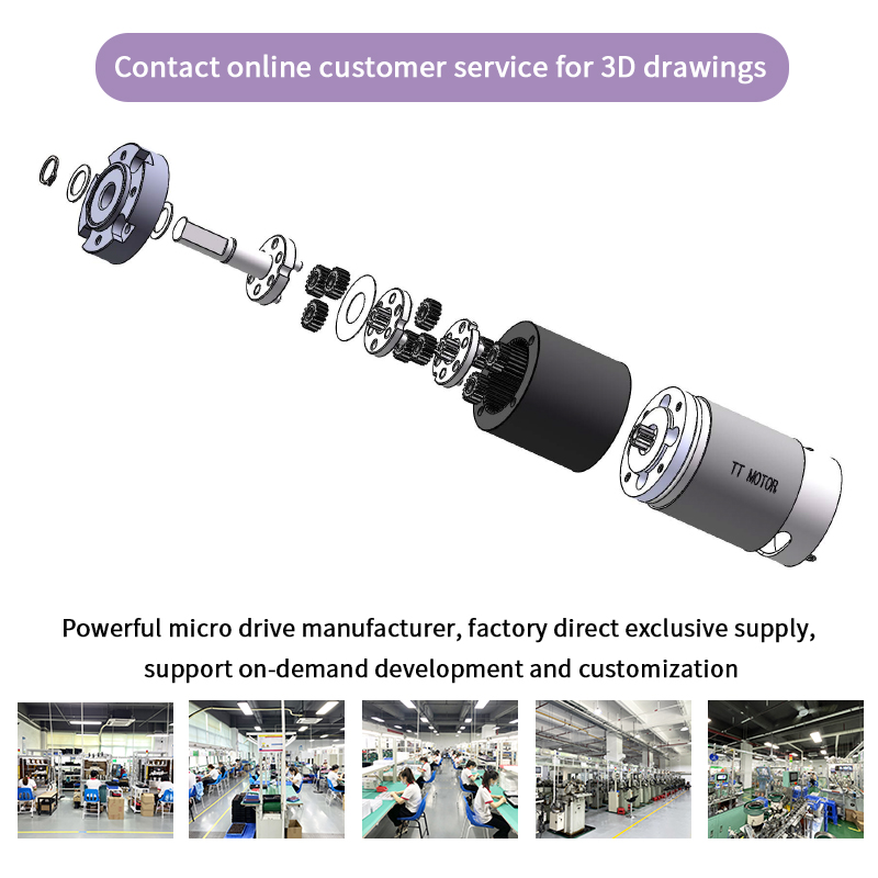 GMP36-555PM-EN 12 Volt 24 Volt Electric Dc Geared Motor With Encoder