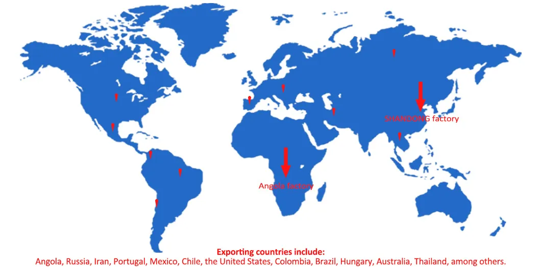 Rede de Distribuição Global