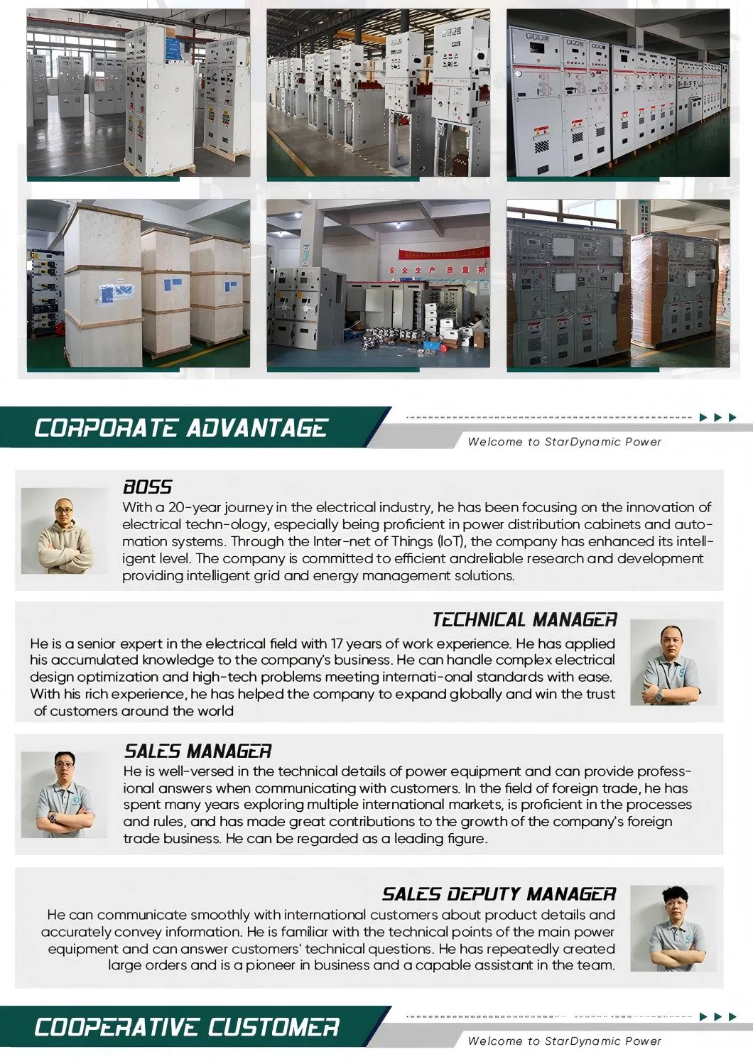 35kv Gabinete Personalizado de Interruptor de Alta Tensão Isolado a Gás para Subestação