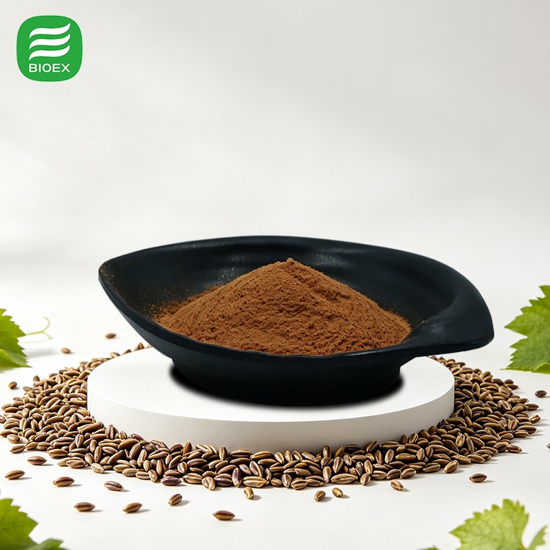 Pure Natural Plant Extracts OPC 95% Proanthocyanidins Grape Seed Extract