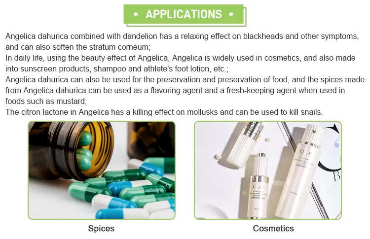 Angelica Dahurica Extract 5