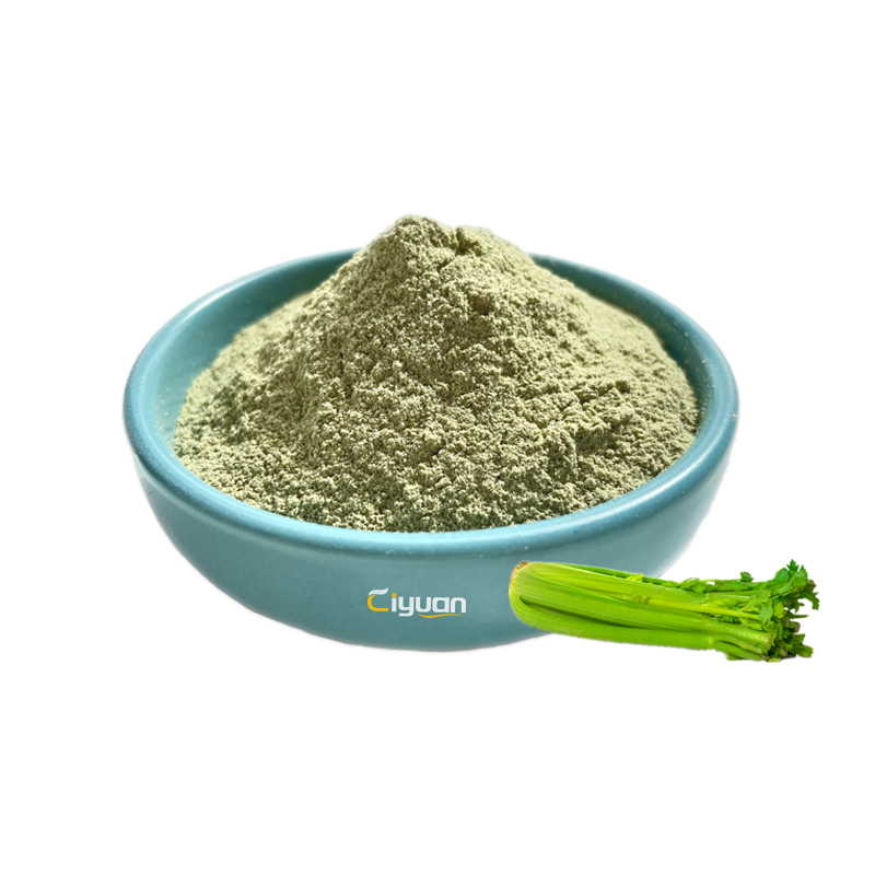 Celery Extract Powder Details 1