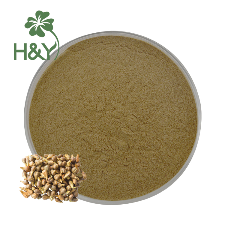 Wholesale Natural Grape Seed Extract 10:1 Grape Seed Powder