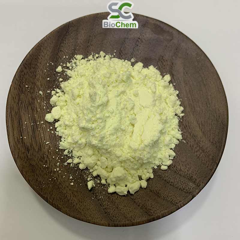 Wholesale High Quality 95% 98% Rutin NF11 Troxerutin Sophora Japonica Flower Extract