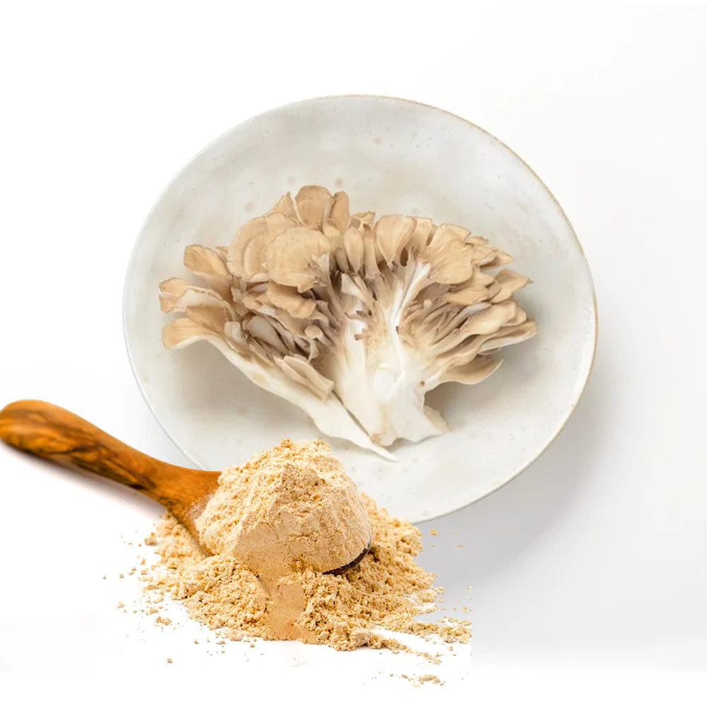 Oyster Mushroom Supplement Pleurotus Ostreatus Powde Mushroom Extract
