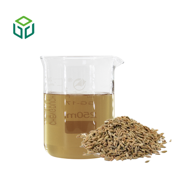 High Quality Celery Seed Herbal Extract Powder Food Grade Bottle/Can Packaging