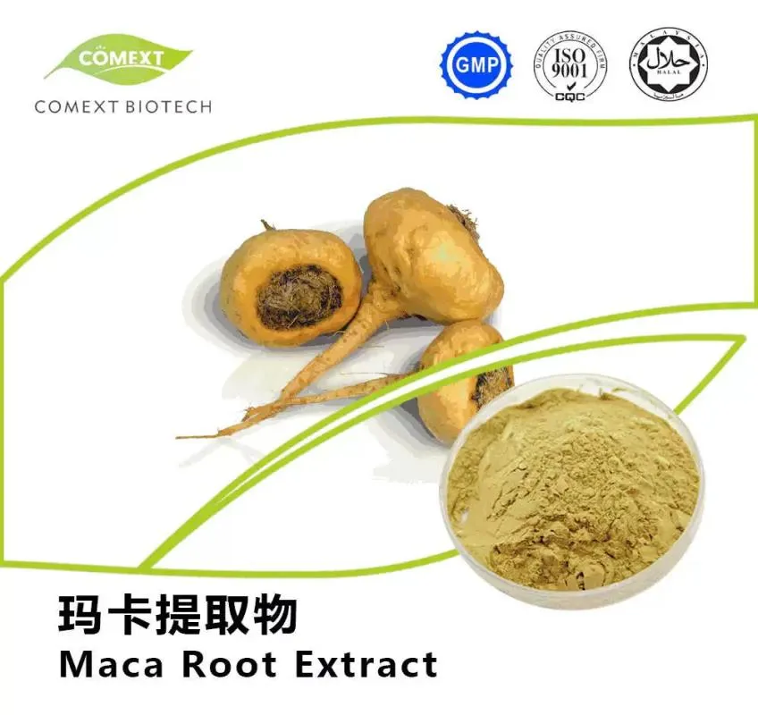 Organic Herbal Root Powder 10: 1 0.6% Macamides Plant Red Black Yellow Maca Extract