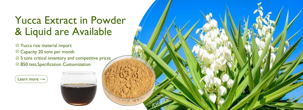 Feed Grade Yucca Extract Liquid Yucca Schidigera Extract