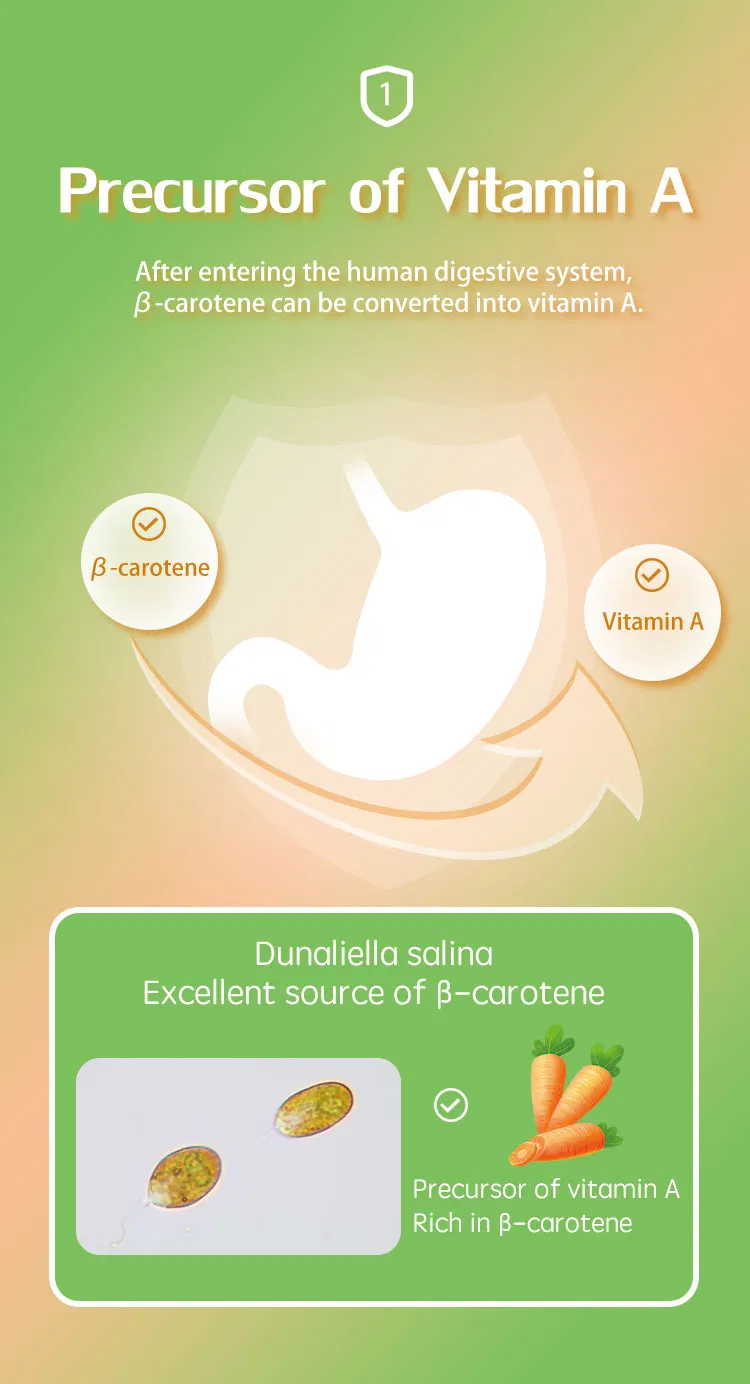 High Quality Nutraceuticals High 9-Cis 5% Beta-Carotene Extract From Dunaliella Salina
