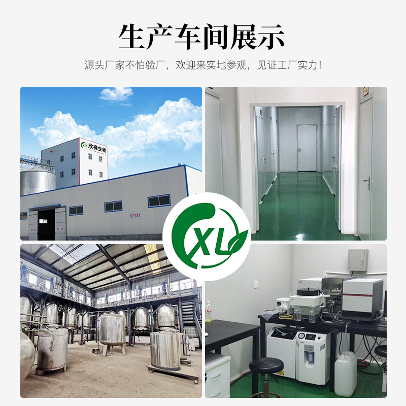 Wild 95% OPC Proanthocyanidins Grape Seed Extract Powder In Stock